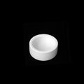 Ceramic Reptile Food Bowl — Escape-Proof, Easy-Clean Feeder Dish