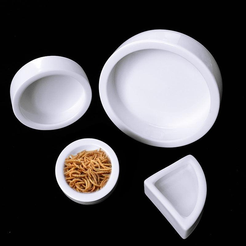 Ceramic Reptile Food Bowl — Escape-Proof, Easy-Clean Feeder Dish