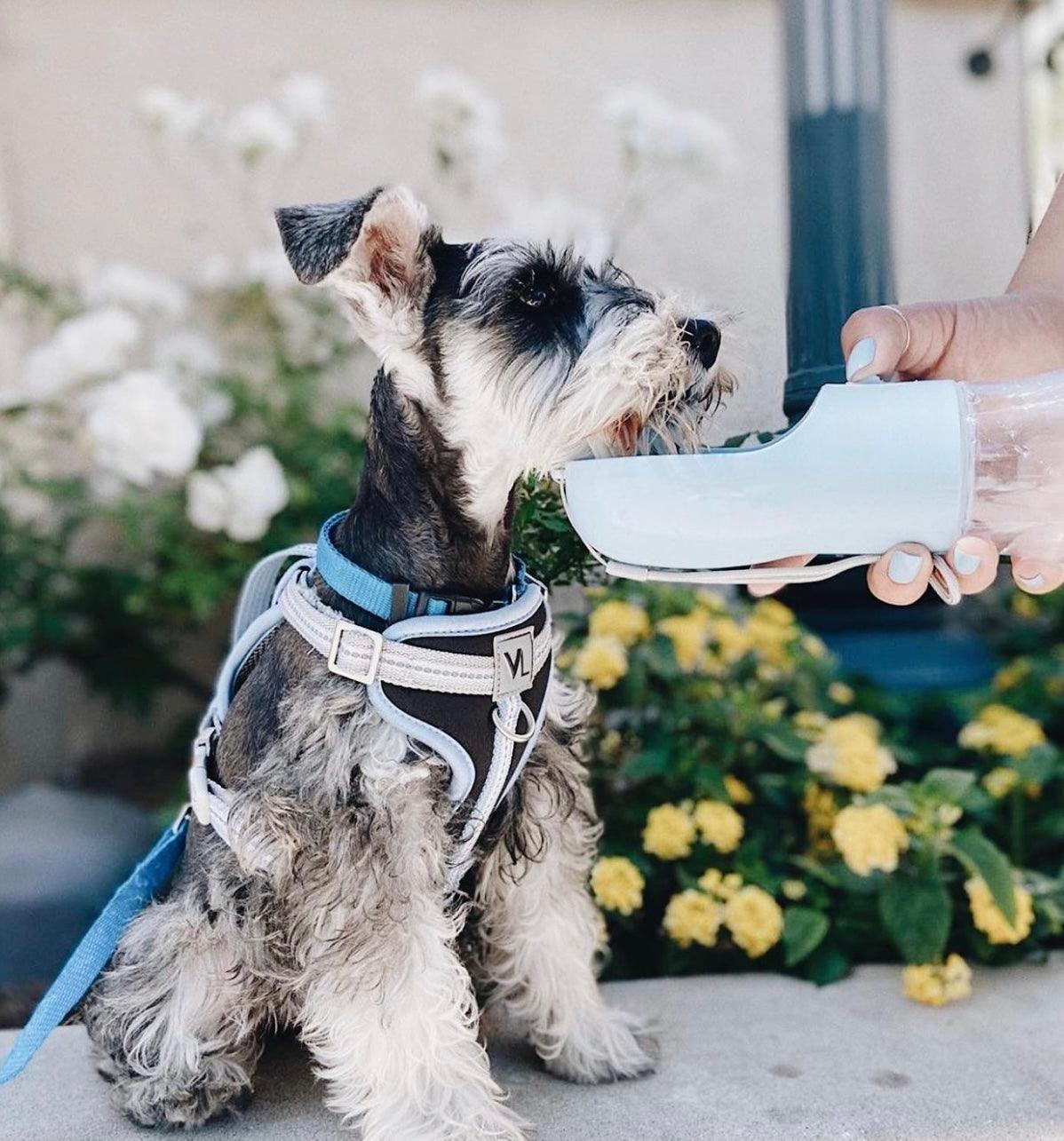 2-in-1 Portable Pet Water Bottle & Feeder — Leakproof Travel Bottle for Dogs