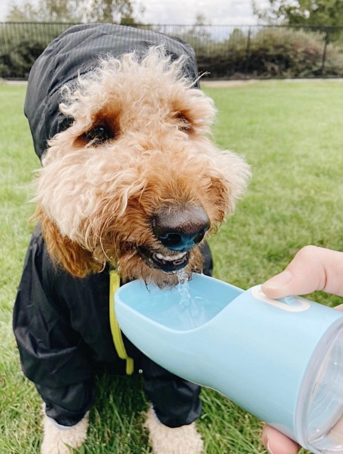 2-in-1 Portable Pet Water Bottle & Feeder — Leakproof Travel Bottle for Dogs