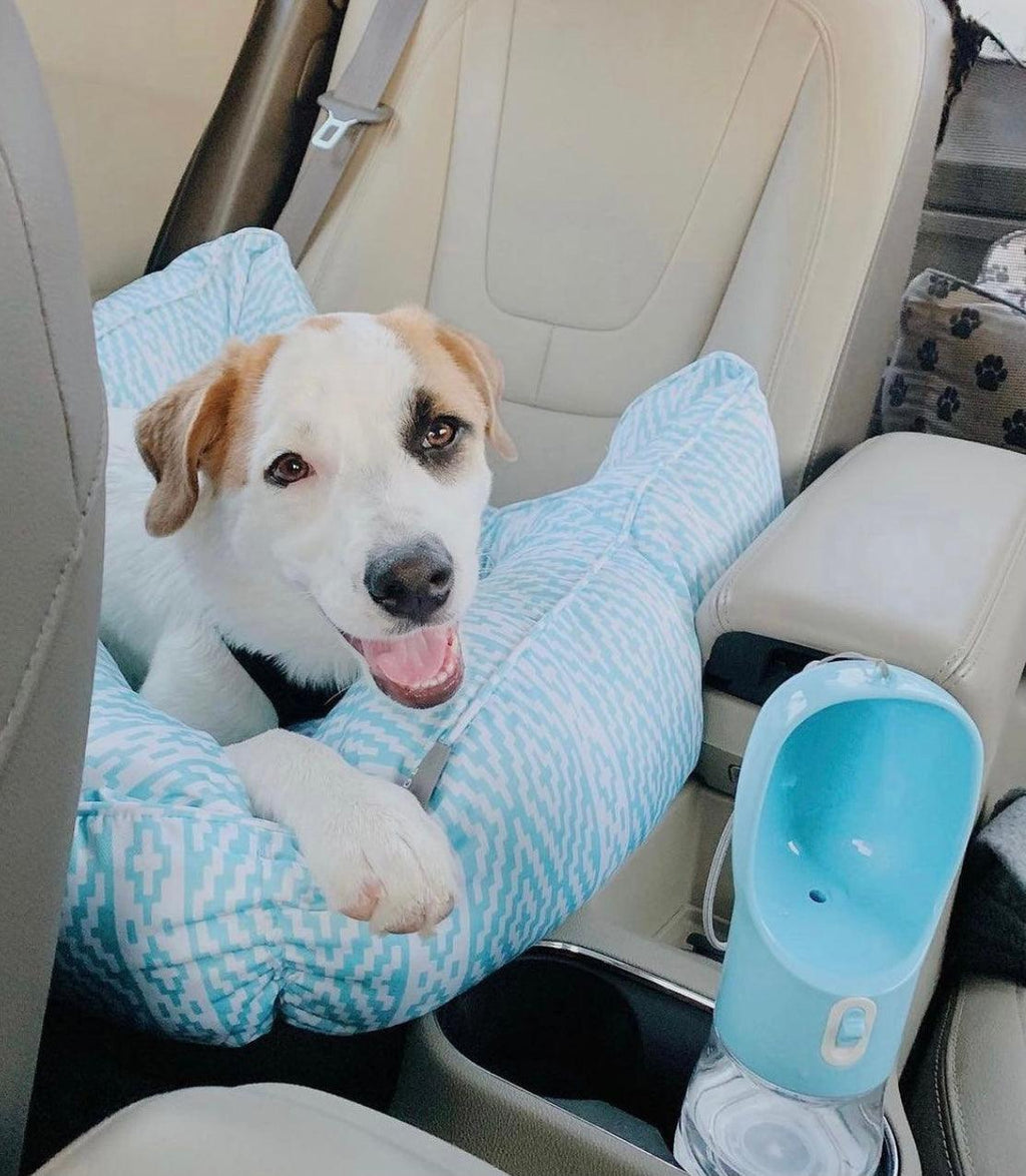 2-in-1 Portable Pet Water Bottle & Feeder — Leakproof Travel Bottle for Dogs