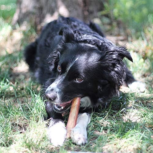 Brazilian Grass-Fed Beef Bully Sticks — Natural, High-Protein Dog Chews
