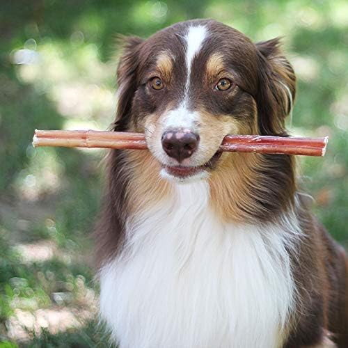 Brazilian Grass-Fed Beef Bully Sticks — Natural, High-Protein Dog Chews