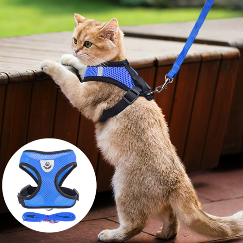 Adjustable Reflective Dog Harness Vest — No-Pull Control Vest, Sizes S–XL