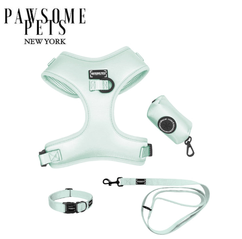 Mint Green Dog Walking Bundle — Harness, Collar, Lead, Bowtie & Poop Bag Holder