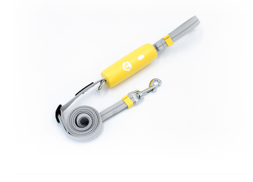 Elastic Bungee Dog Leash — Shock-Absorbing Leash for Small & Medium Dogs