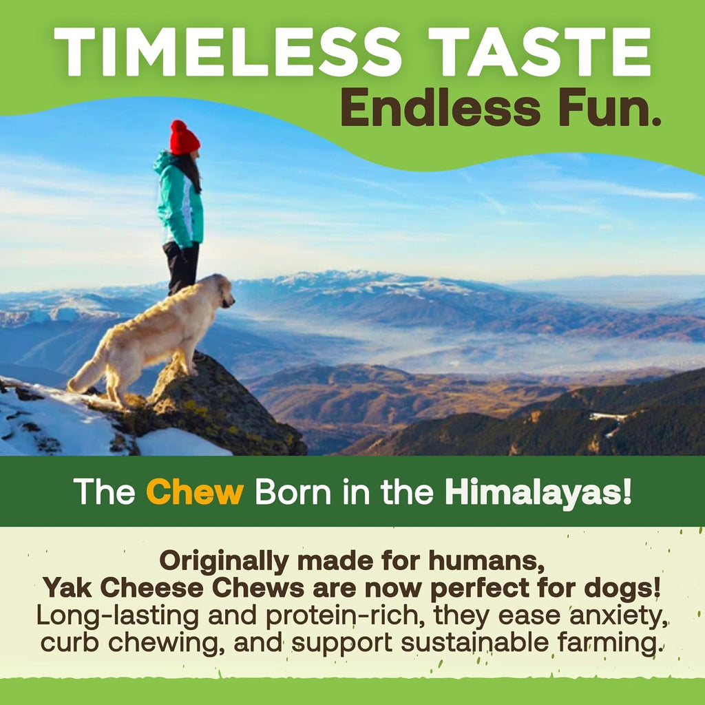 Gold Yak Chews for Small Dogs — Natural Himalayan Milk Chew Sticks (4, 8, or 16 Pack)