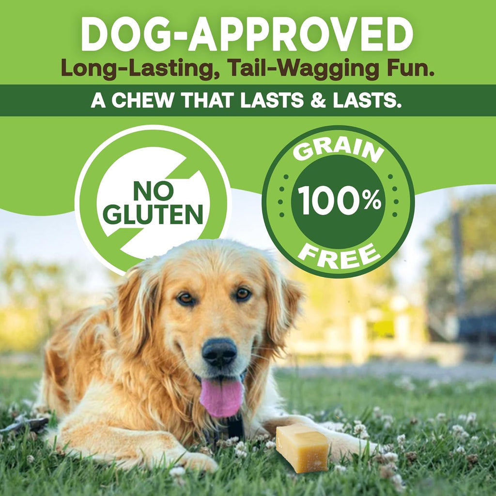 Gold Yak Chews for Small Dogs — Natural Himalayan Milk Chew Sticks (4, 8, or 16 Pack)