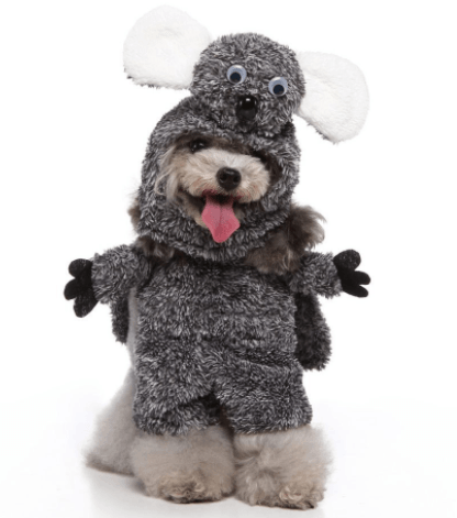Funny Cosplay Dog Costume Set — 3-Piece Halloween & Christmas Pet Outfit