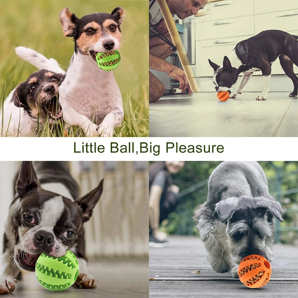 Rubber Snack Chew Ball for Dogs — Dental Cleaning Toy, 5/6/7cm