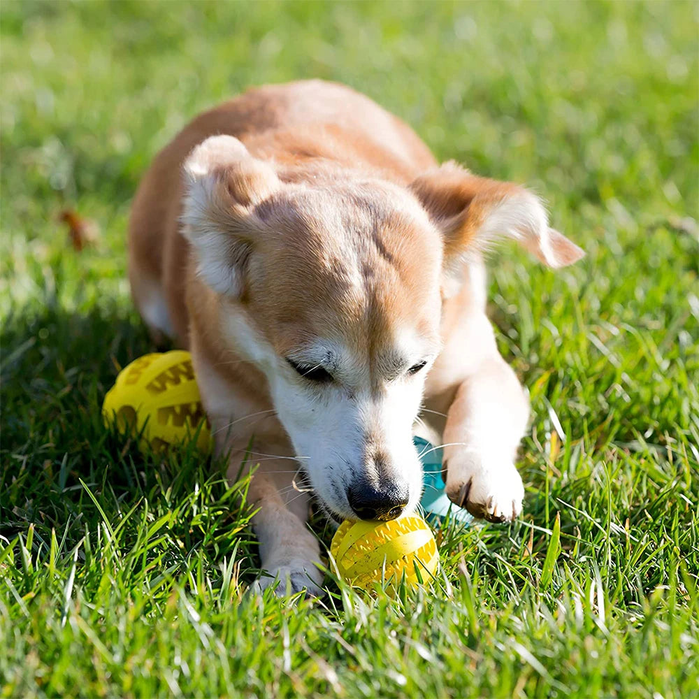 Rubber Snack Chew Ball for Dogs — Dental Cleaning Toy, 5/6/7cm
