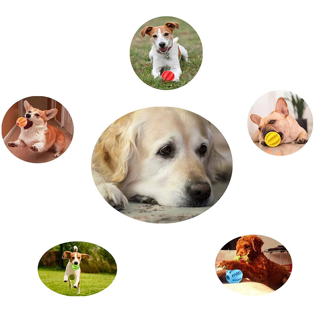 Rubber Snack Chew Ball for Dogs — Dental Cleaning Toy, 5/6/7cm