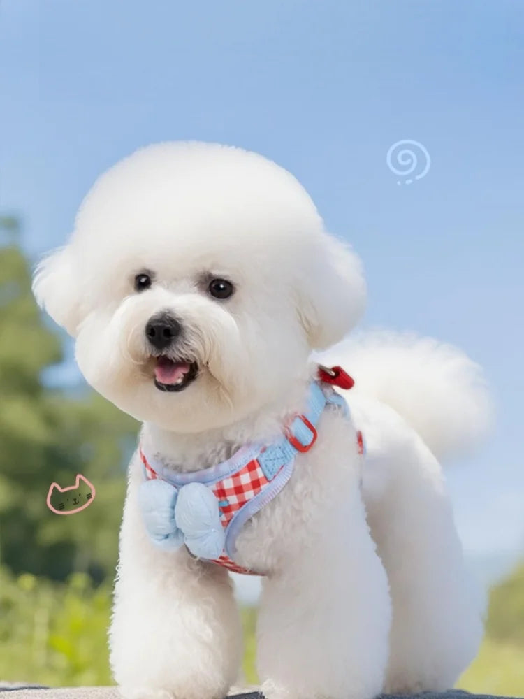 Air Cushion Breathable Mesh No-Pull Dog Harness — Small to Large
