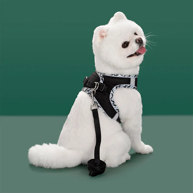 Reflective Adjustable Dog & Cat Harness and Leash Set — Safe & Comfortable Walking Set
