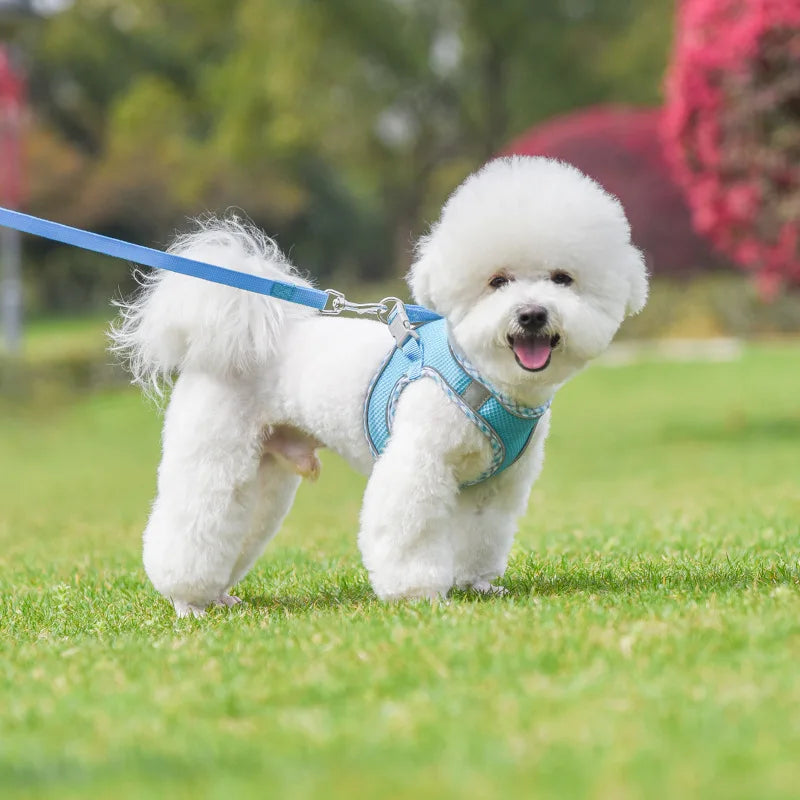 Reflective Adjustable Dog & Cat Harness and Leash Set — Safe & Comfortable Walking Set