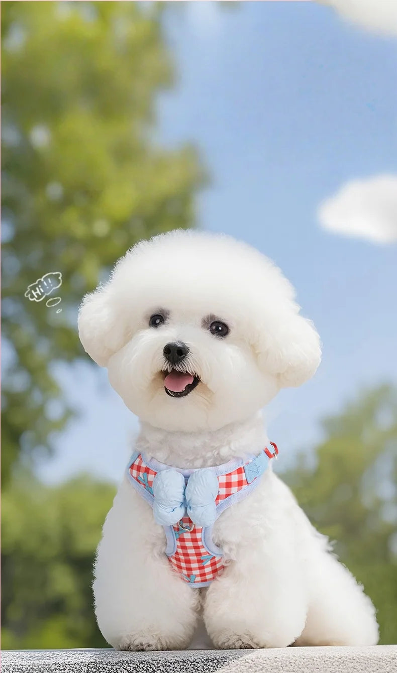Air Cushion Breathable Mesh No-Pull Dog Harness — Small to Large