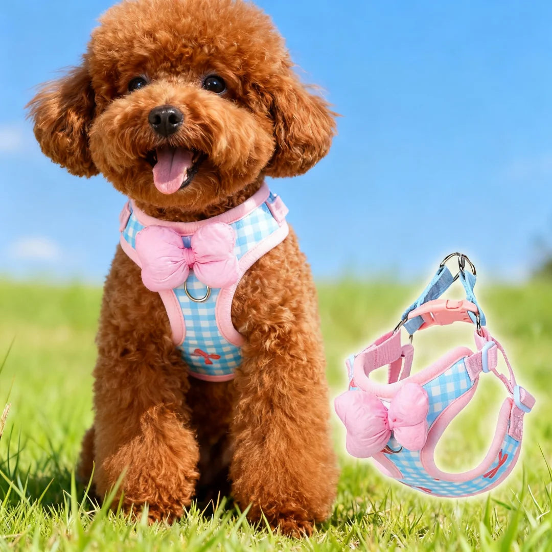 Air Cushion Breathable Mesh No-Pull Dog Harness — Small to Large
