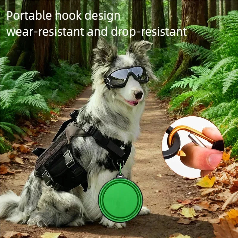 2-in-1 Silicone Pet Water Bottle & Folding Bowl — Leak-Proof Travel Feeder