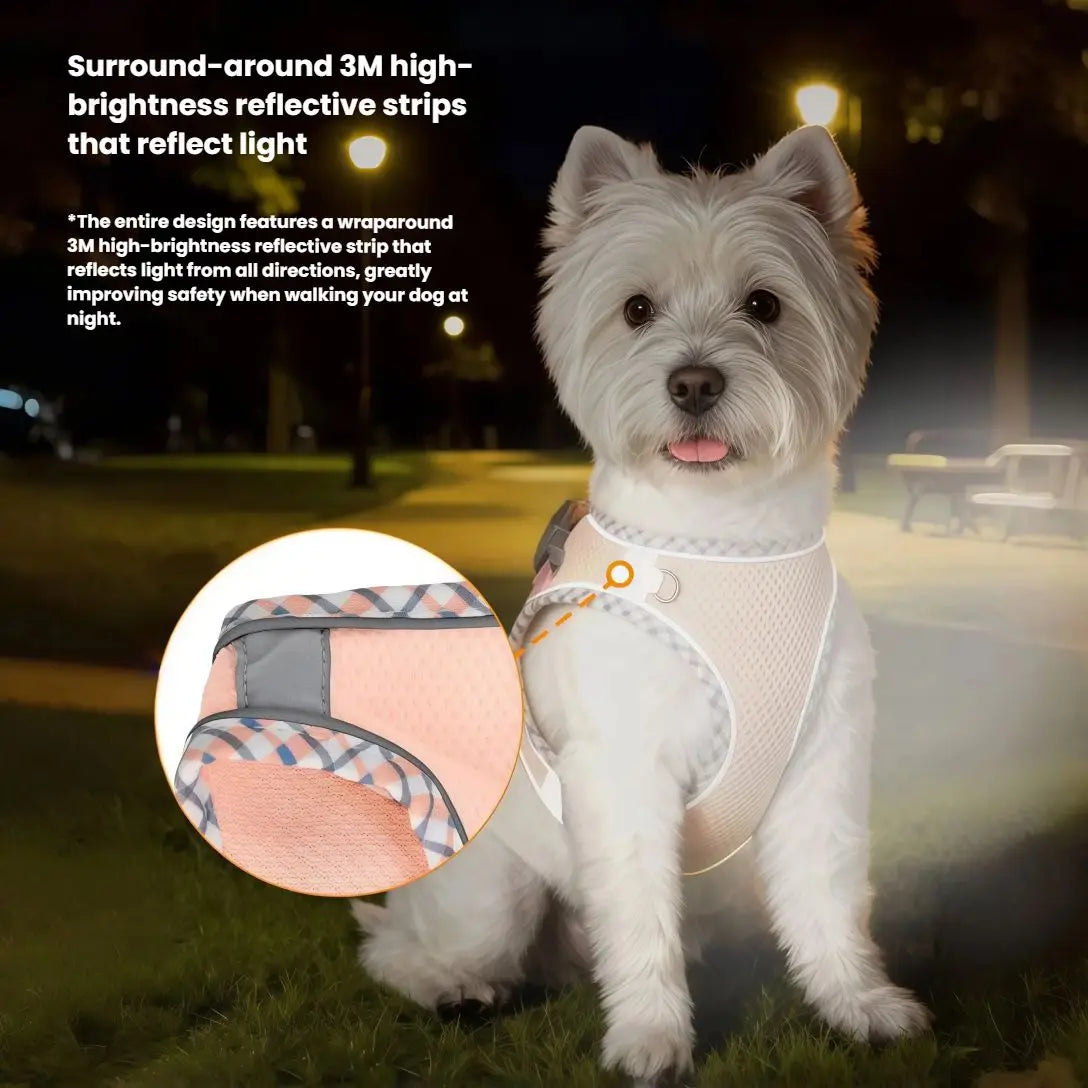 Reflective Adjustable Dog & Cat Harness and Leash Set — Safe & Comfortable Walking Set