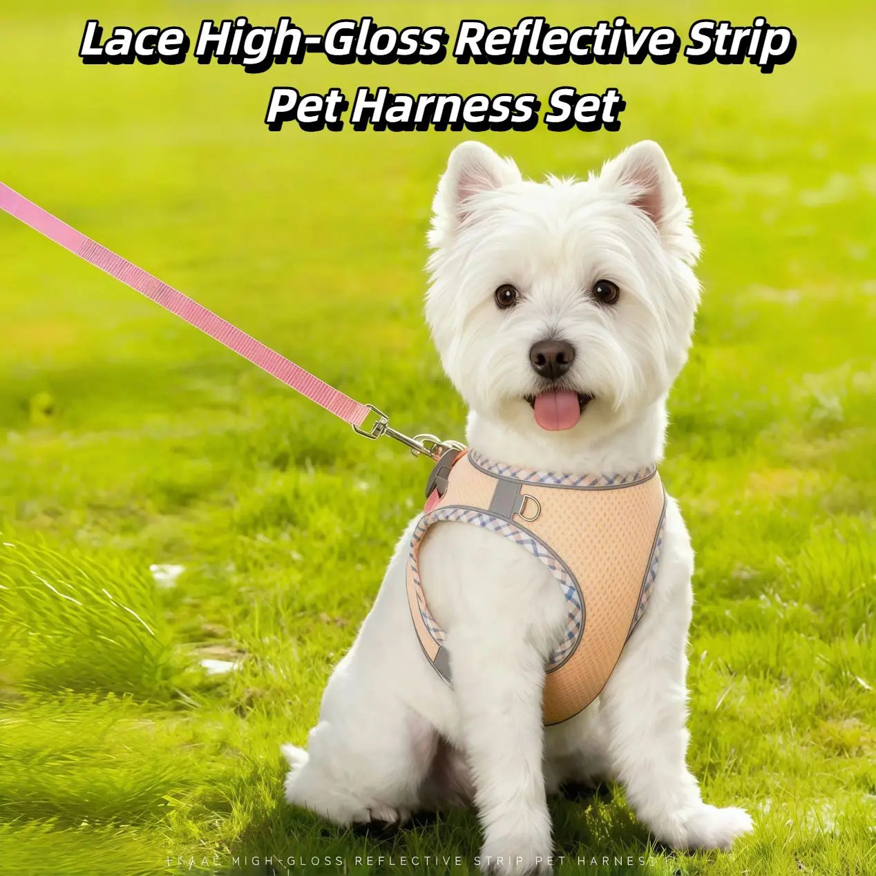 Reflective Adjustable Dog & Cat Harness and Leash Set — Safe & Comfortable Walking Set