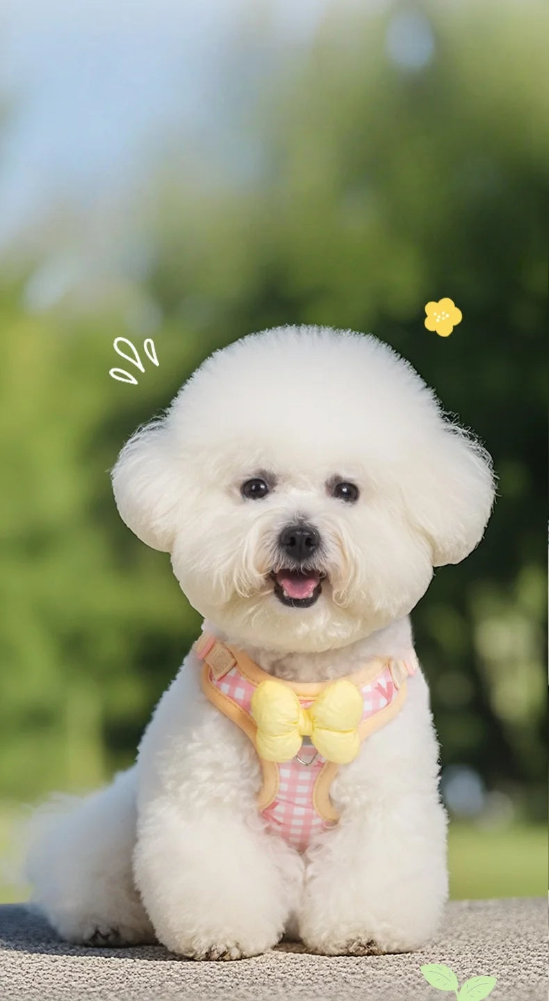 Air Cushion Breathable Mesh No-Pull Dog Harness — Small to Large