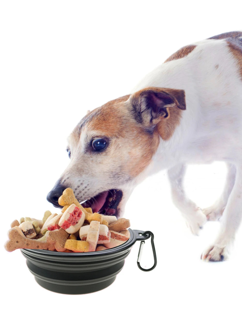 Collapsible Silicone Travel Pet Bowl — Portable Foldable Food & Water Bowl, 350mL