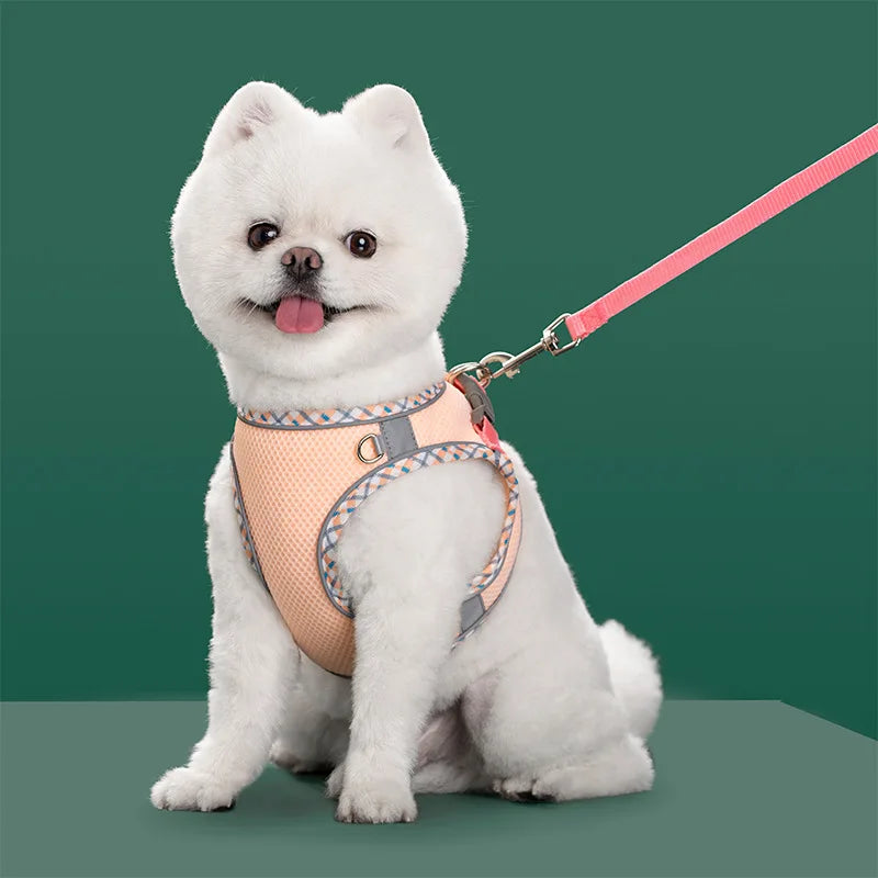 Reflective Adjustable Dog & Cat Harness and Leash Set — Safe & Comfortable Walking Set