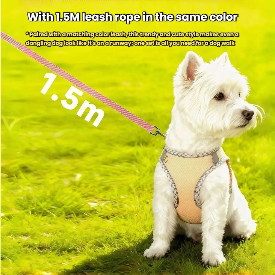 Reflective Adjustable Dog & Cat Harness and Leash Set — Safe & Comfortable Walking Set