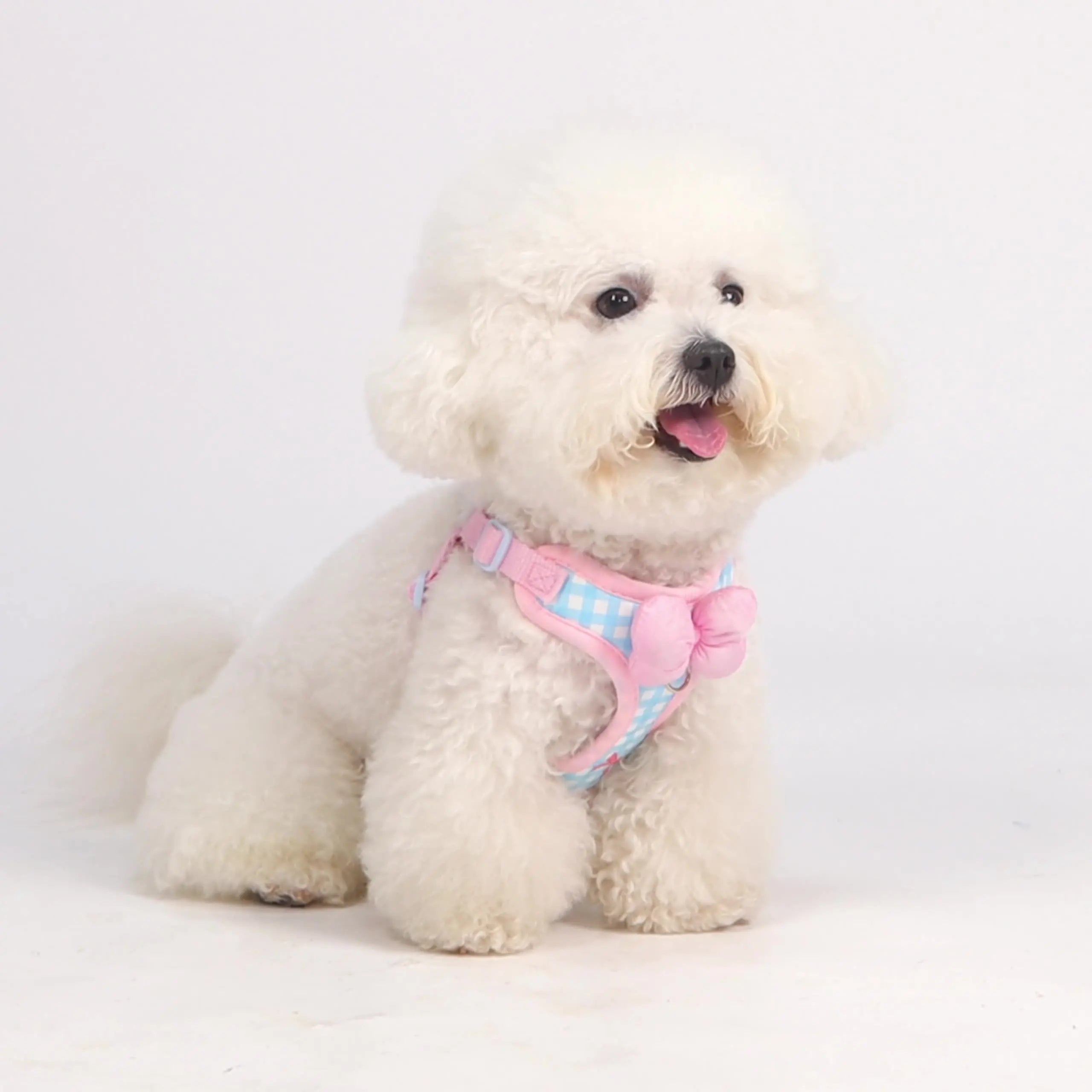 Air Cushion Breathable Mesh No-Pull Dog Harness — Small to Large