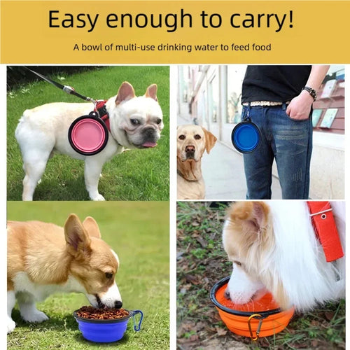 2-in-1 Silicone Pet Water Bottle & Folding Bowl — Leak-Proof Travel Feeder
