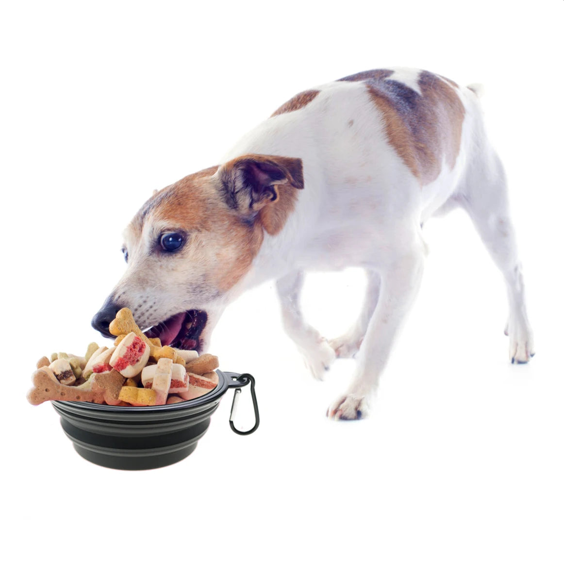Collapsible Silicone Travel Pet Bowl — Portable Foldable Food & Water Bowl, 350mL