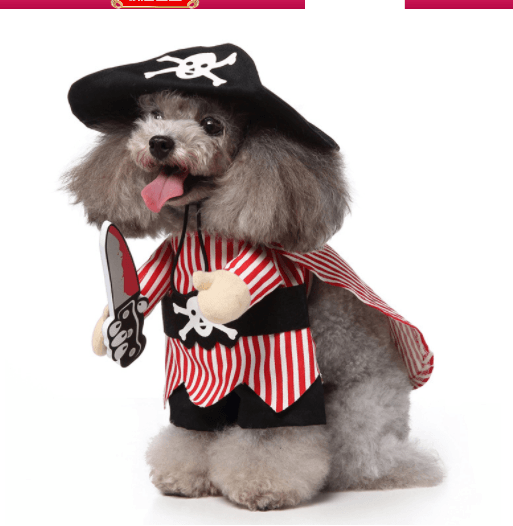 Funny Cosplay Dog Costume Set — 3-Piece Halloween & Christmas Pet Outfit