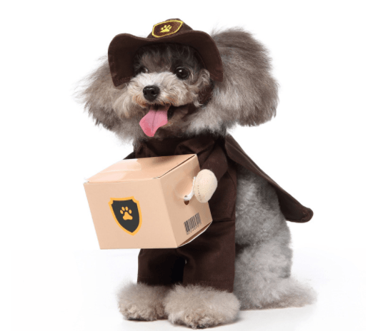 Funny Cosplay Dog Costume Set — 3-Piece Halloween & Christmas Pet Outfit