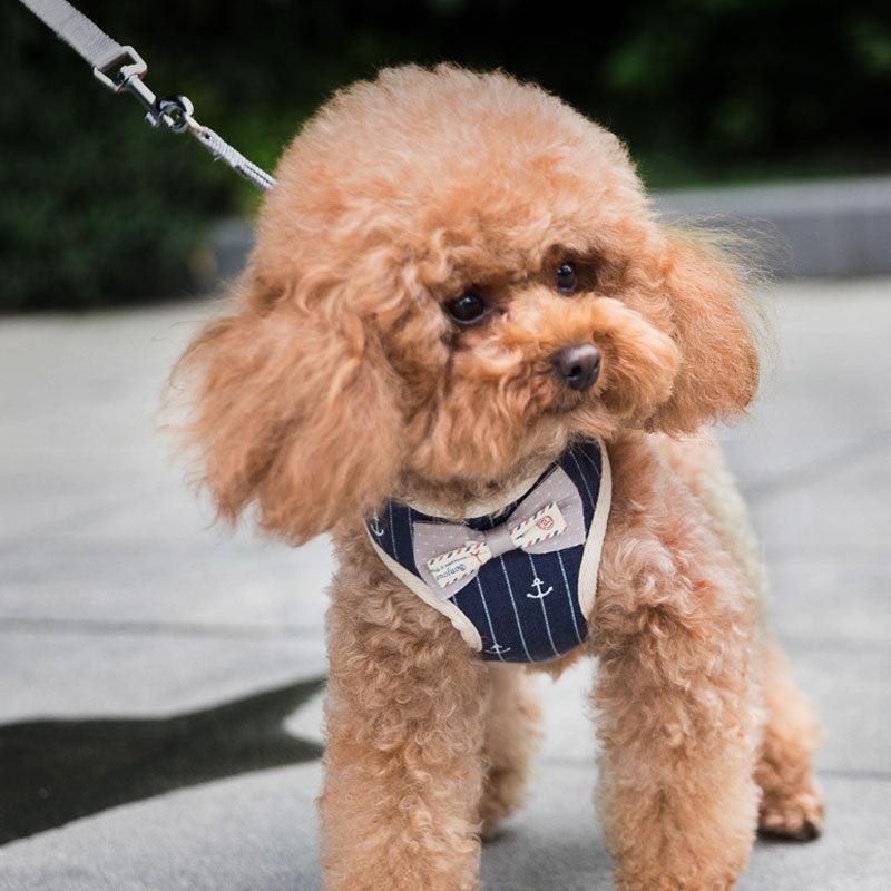 Breathable Mesh Pet Leash — Lightweight & Adjustable for Dogs and Cats