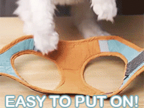 Reflective Cat Harness & Leash Set — Escape-Proof Adjustable Vest for Cats