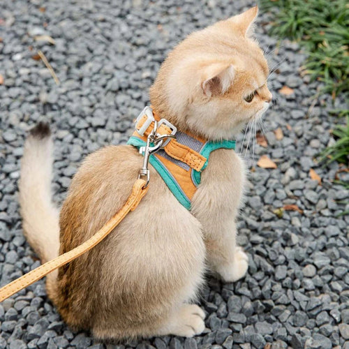 Reflective Cat Harness & Leash Set — Escape-Proof Adjustable Vest for Cats