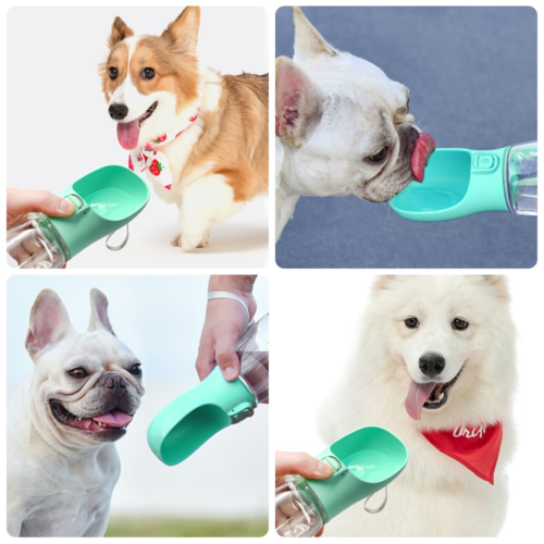 Outdoor Pet Water Bottle & Feeder — Portable Travel Dispenser for Dogs & Cats