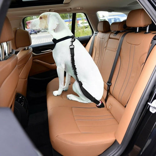 Dog Car Seatbelt Safety Tether 2-Pack — Adjustable Nylon Restraint for All Vehicles