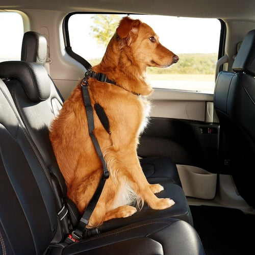 Dog Car Seatbelt Connector — Adjustable 2-Pack Safety Tether for All Vehicles