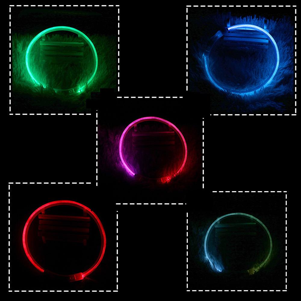 USB Rechargeable LED Pet Collar — 3 Flashing Modes, Glow-in-the-Dark