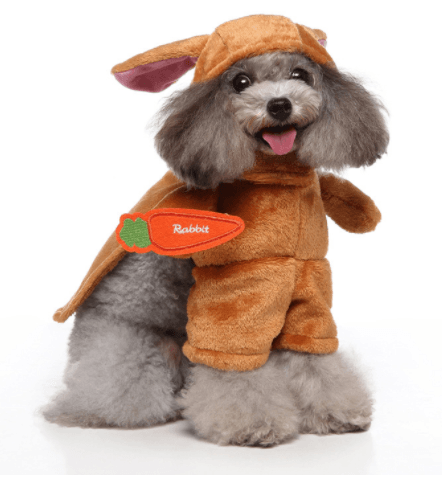 Funny Cosplay Dog Costume Set — 3-Piece Halloween & Christmas Pet Outfit