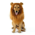Lion Mane Dog Wig — Faux Fur Halloween & Costume Party Pet Wig
