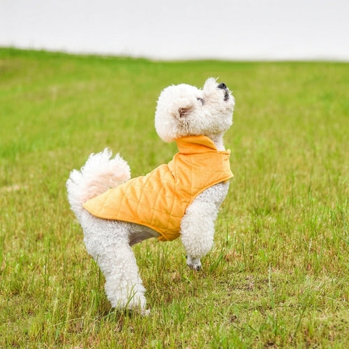 Dog Winter Warm Vest — Soft Fleece & Cotton Pet Jacket for Fall & Winter